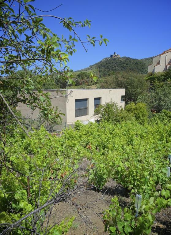 Le Clos Saint Elme Collioure Dış mekan fotoğraf